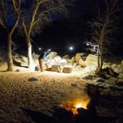 Life350_04 Life350_04